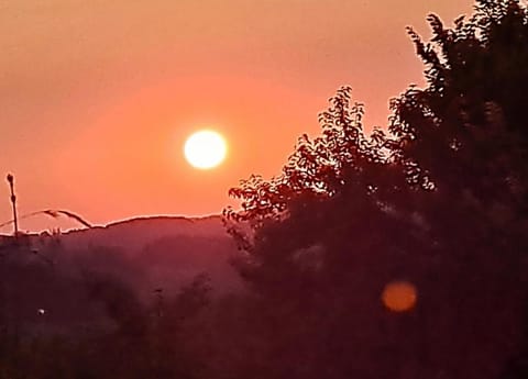 Ferienwohnung und Monteurwohnung Matthies Nähe Köln 30km Apartment in Bergisch Gladbach