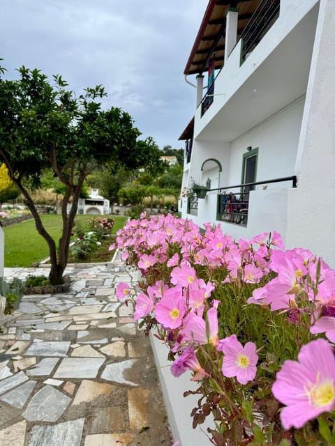 Irene Studios Apartment in Corfu, Greece