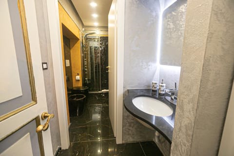 Dimora patrizia in centro Apartment in Genoa