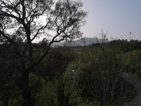 Casa Ribe House in Viana do Castelo District, Portugal