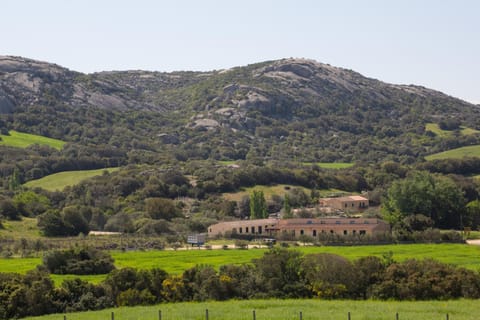 Natural landscape, Hiking, Mountain view
