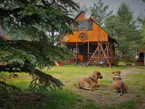 Property building, Garden, Pets