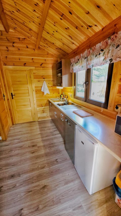 Coffee/tea facilities, Kitchen or kitchenette, dishwasher