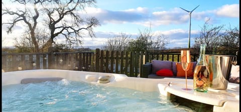 The Sleeping Dog Room at The Grumpy Schnauzer BnB Huge Room, Luxe Suite, Private Hot Tub, Breakfast, Gym, Games Room, Farm Stay, Amazing Bed and Breakfast in Coatbridge