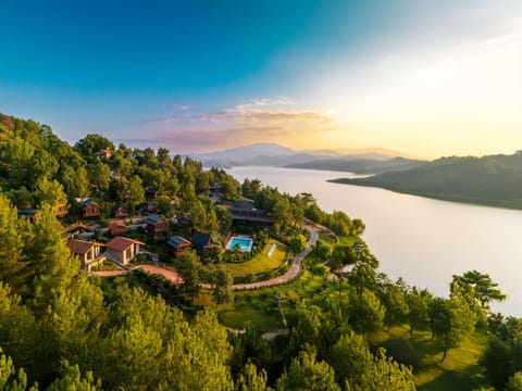 Bird's eye view, Garden
