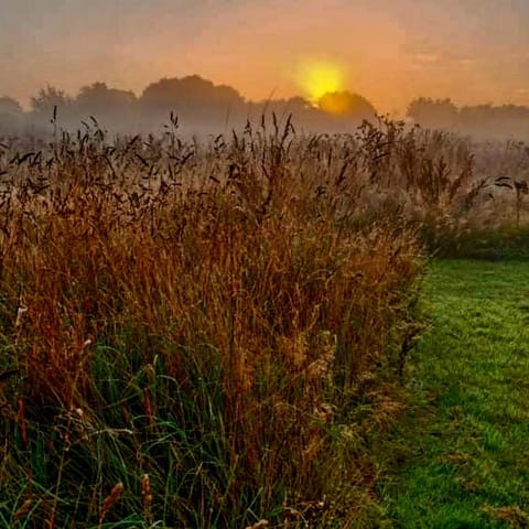 The Oaks Glamping - Magpie Half Shepherds Hut Campground/
RV Resort in Breckland District