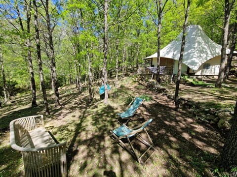 Natural landscape, Garden, Garden view