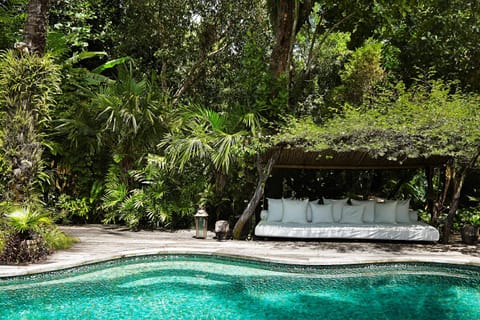 Garden, Swimming pool, Swimming pool