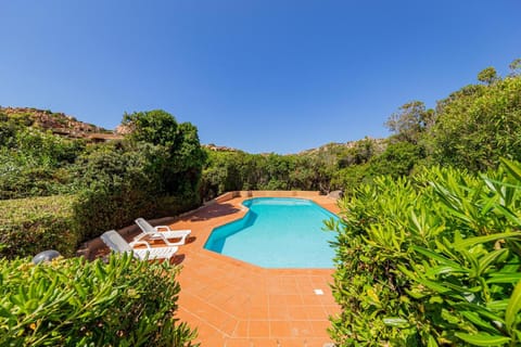 Garden, Swimming pool, Swimming pool