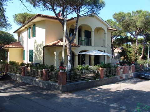 Patio, Garden