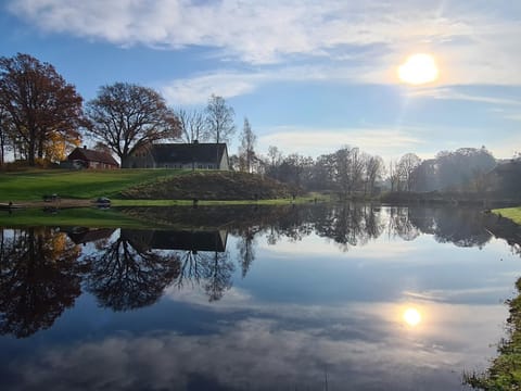 Lake view