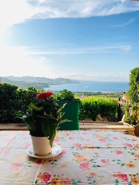 Balcony/Terrace, Garden view
