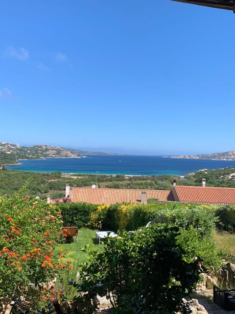 Natural landscape, Garden, Sea view