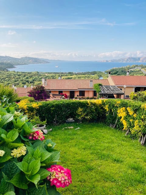 Garden, Garden view, Sea view