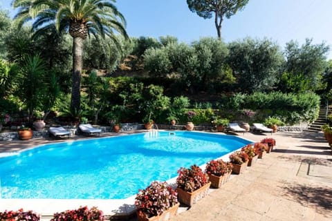 Garden view, Pool view, Swimming pool, sunbed