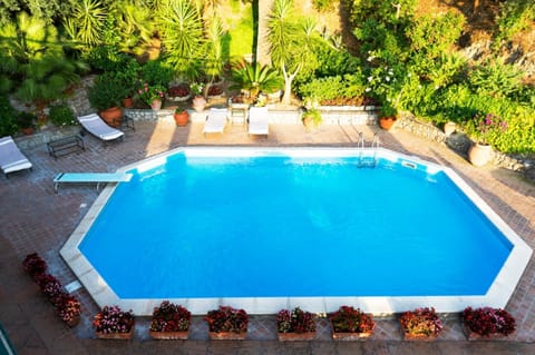 Garden, Garden view, Pool view, Swimming pool, sunbed