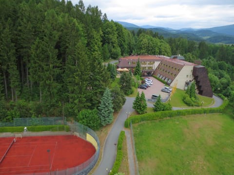 Bird's eye view, Summer, Tennis court, Pets