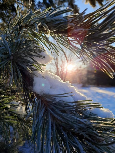 Przystań na Zagórzu - Apartamenty nad jeziorem Apartment in West Pomeranian Voivodeship, Poland