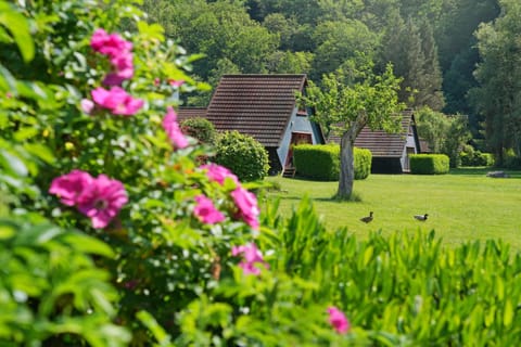 Spring, Natural landscape, Garden, Garden view