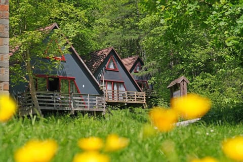 Domaine Long Pre House in Trois-Ponts