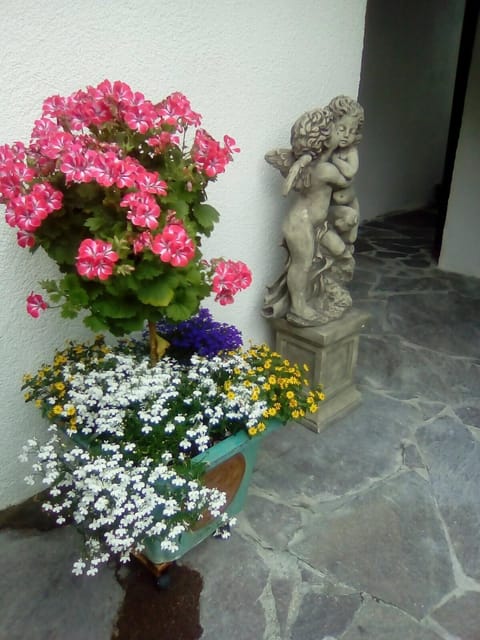 Appartements Fam. Gleinser Mirella Apartment in Neustift im Stubaital