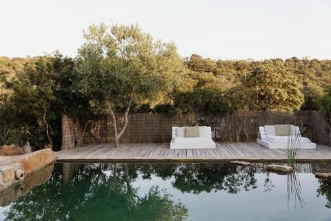 Natural landscape, Garden, Garden view, Swimming pool, sunbed