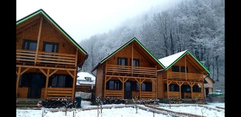 Property building, Day, Winter