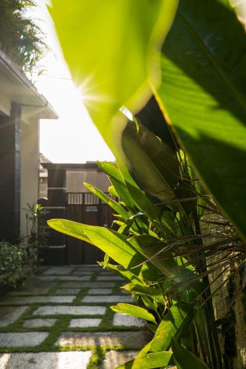 Facade/entrance, Spring, Day, Garden, Garden view, Inner courtyard view