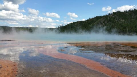 Spectacular Mountain Condo Apartment in Wilson