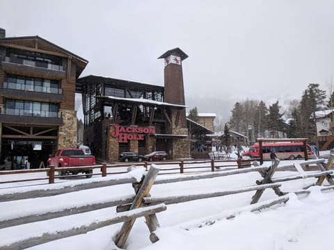 Spectacular Mountain Condo Apartment in Wilson