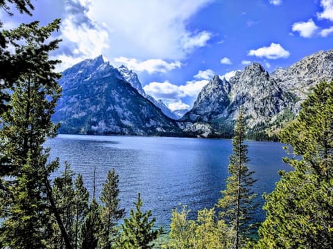 Spectacular Mountain Condo Apartment in Wilson