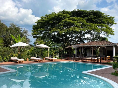 Balcony/Terrace, Pool view, Swimming pool
