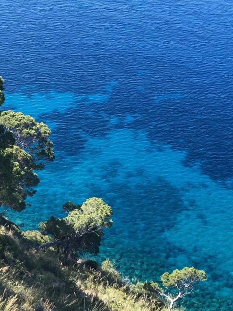 Natural landscape