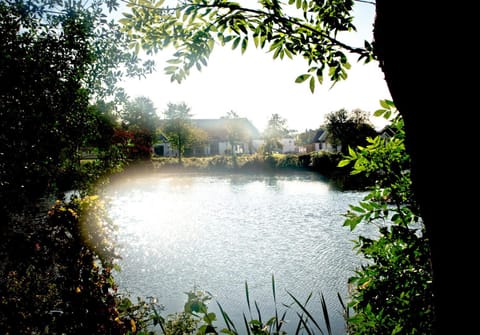 Natural landscape, Lake view