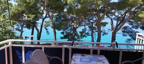 Apartman Dragicevic Apartment in Dubrovnik-Neretva County