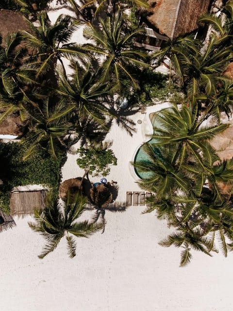 Bird's eye view, Beach, Swimming pool