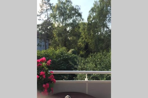 bahnhofsnahe, ruhige und sonnige 2 Zimmerwohnung im Dichterviertel (bis 4 Personen) Apartment in Wiesbaden