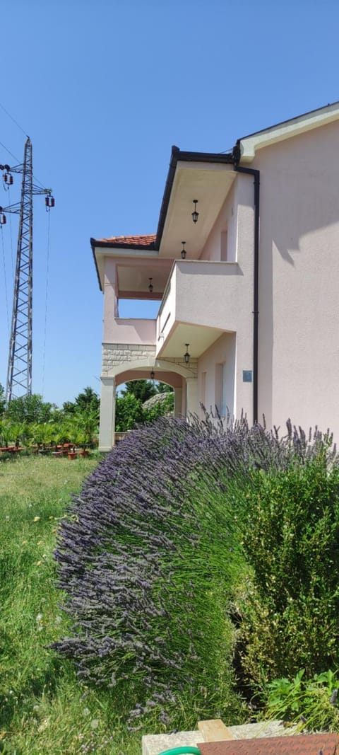 Sun garden apartment Apartment in Dubrovnik-Neretva County