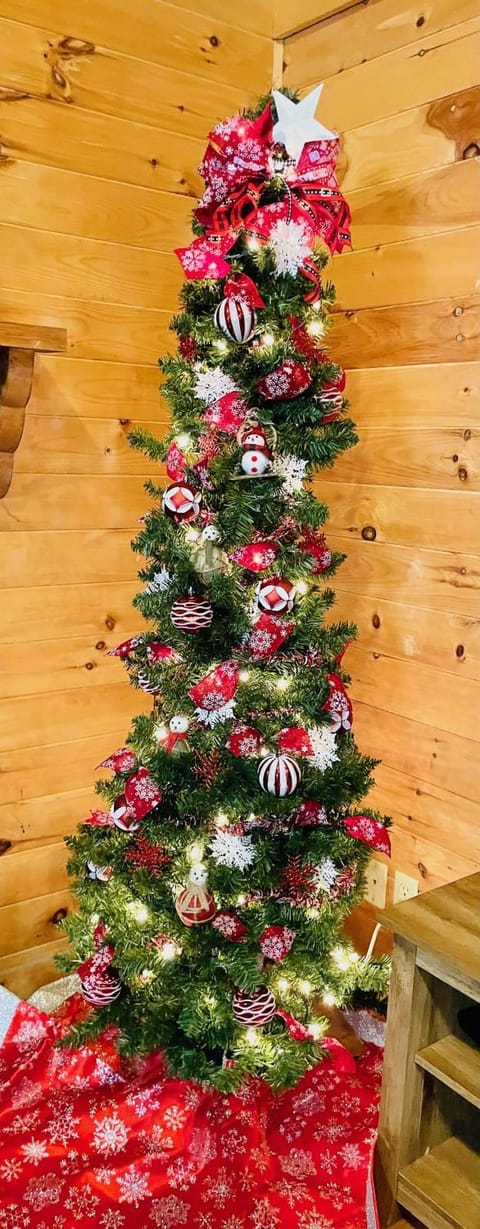 Mountain Bliss House in Great Smoky Mountains