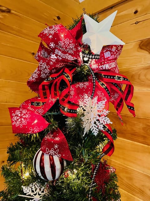 Mountain Bliss House in Great Smoky Mountains