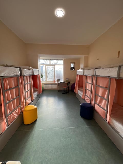 Bed, Photo of the whole room, Bedroom, bunk bed