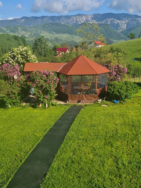 Property building, Spring, Day, Natural landscape, Garden, Garden view, Mountain view