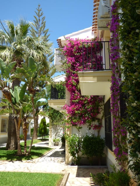 Property building, Facade/entrance, Garden