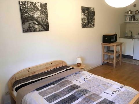 Studio ARBOLES Apartment in Chambery