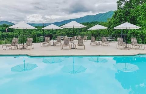 Tree House House in Townsend