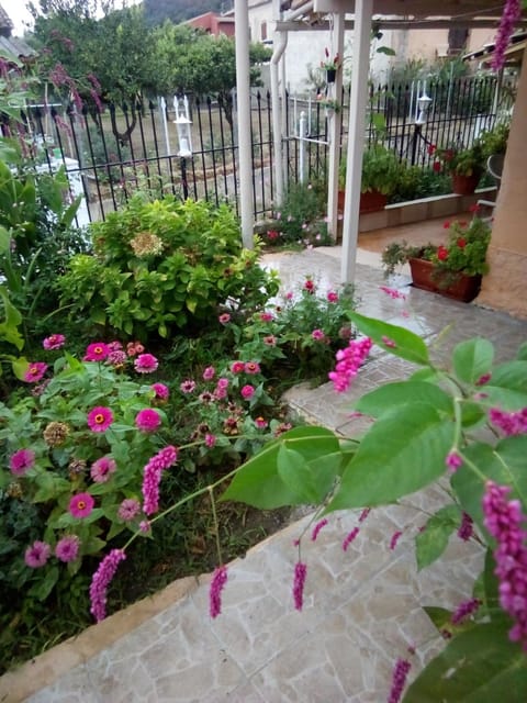Day, Garden