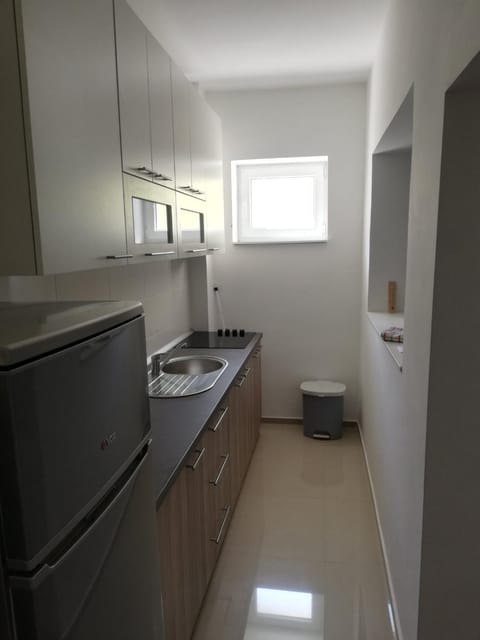 Viktor Apartment in Vojvodina