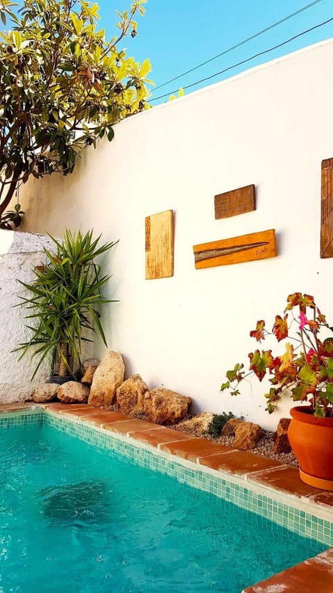 Garden, Swimming pool