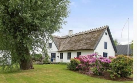 Property building, Garden view