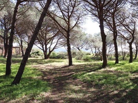 Villa de charme en pinède, 4 chambres climatisées, accès direct plage - FR-1-100-209 Villa in Cavalaire-sur-Mer